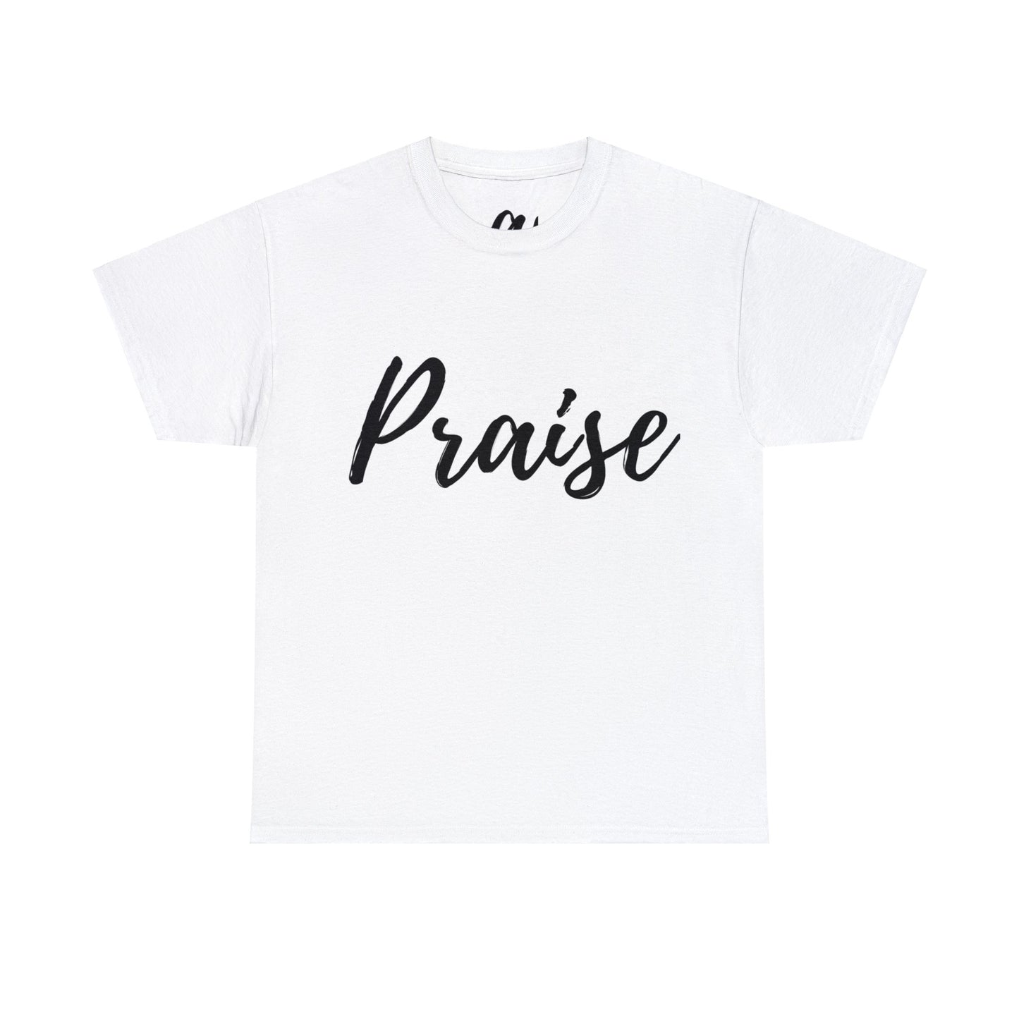 Praise T-Shirts